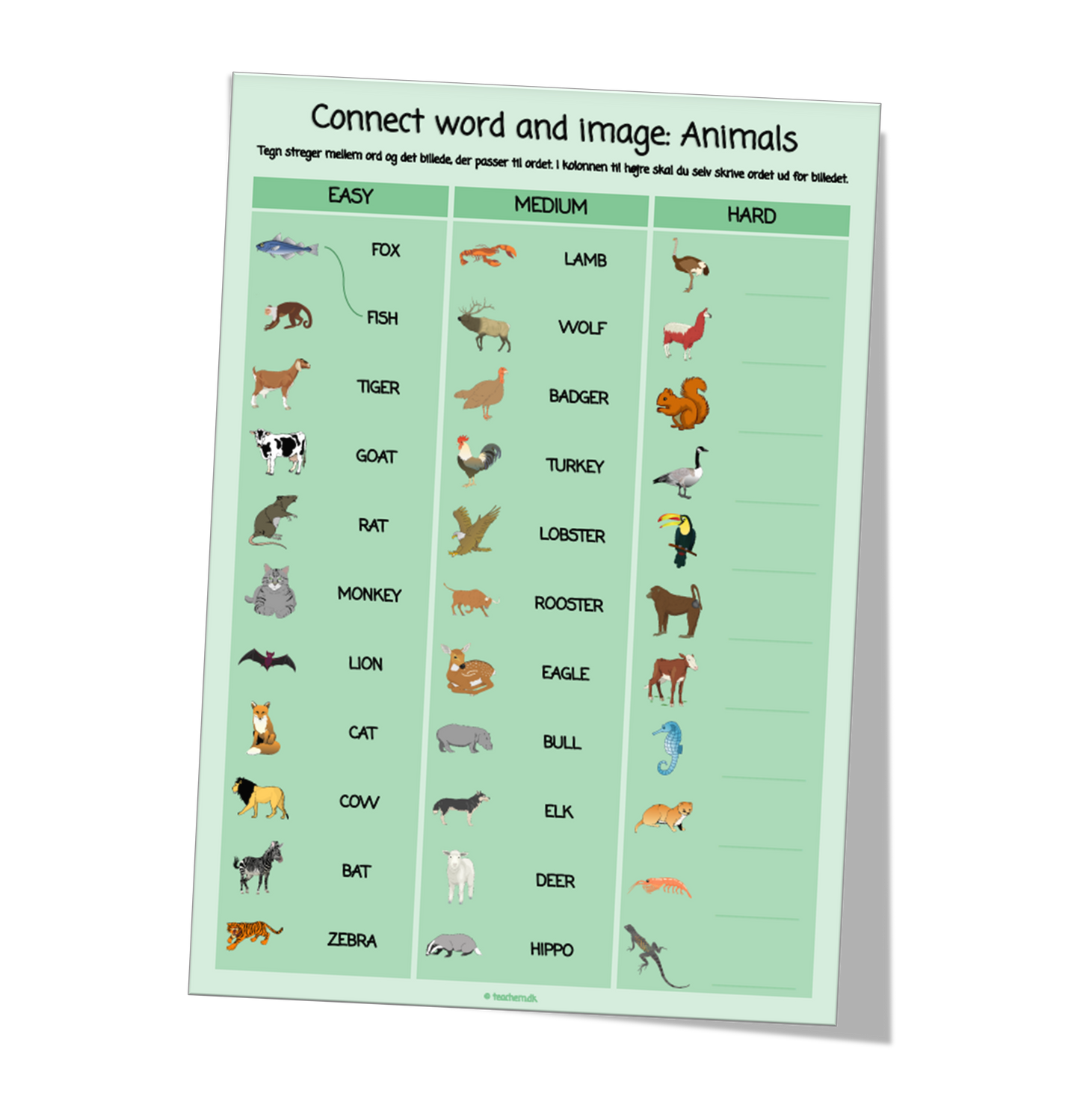 Connect word and image - Animals – Let's teach 'em